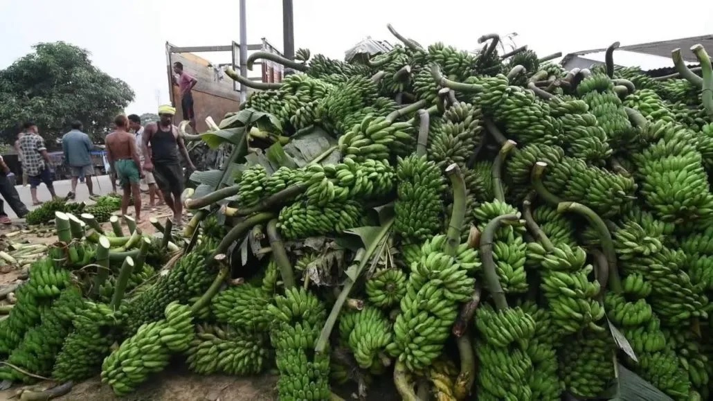 No concrete step to sideline middlemen in banana business; No proper market in NGH