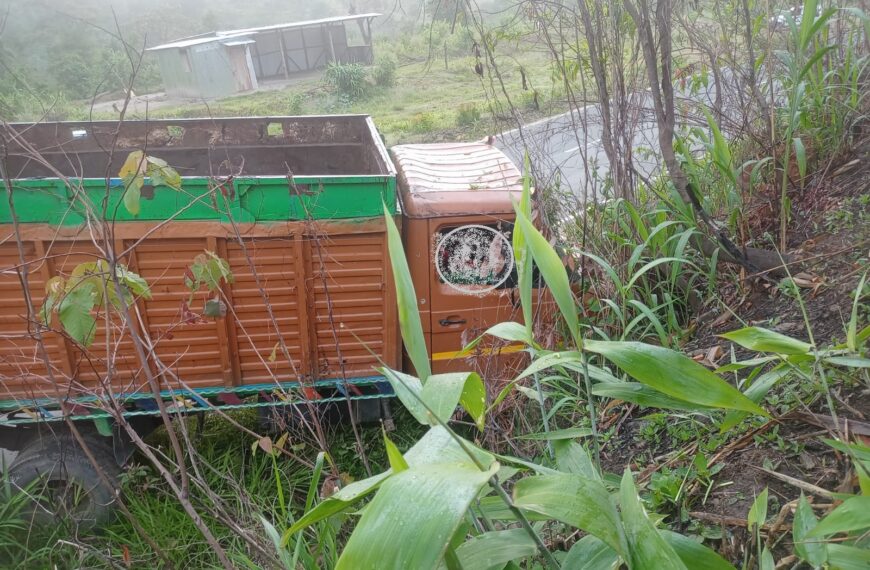 Meghalaya Govt seeks report from police after BSF shoots cattle truck driver