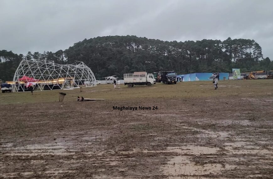 Cyclone Midhili cause setback for Cherry Blossom Festival; Tourists left dishearten