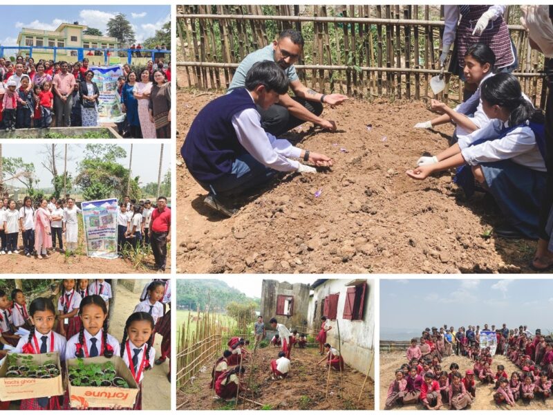 School Nutrition Gardens in Schools go up from 9% to 40% in one day